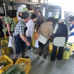 信州カブ収穫体験ツアー